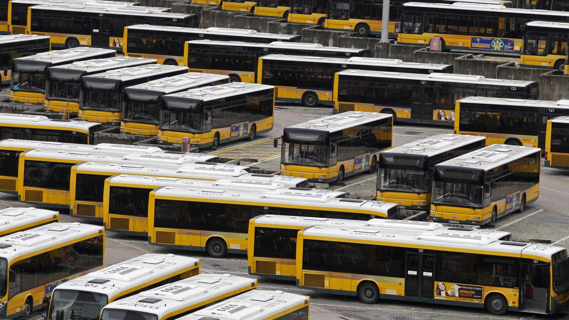 Prefeitura de Mogi das Cruzes - Secretaria de Educação - Notícias -  Prefeitura entrega 16 novos ônibus para renovação da frota do transporte  escolar