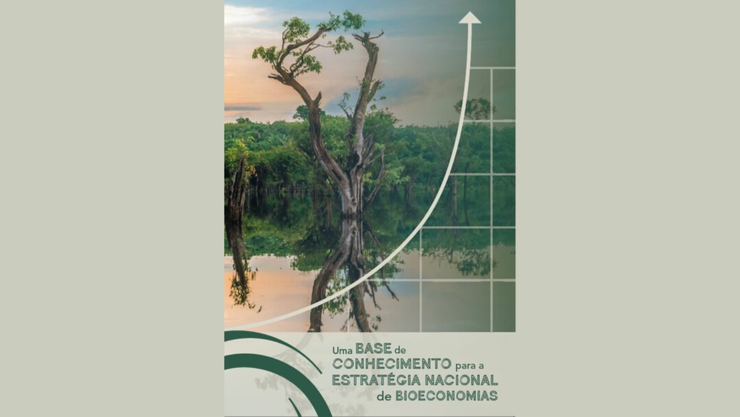 Participe do evento de lançamento do estudo "Uma base de conhecimento para a estratégia nacional de bioeconomias"